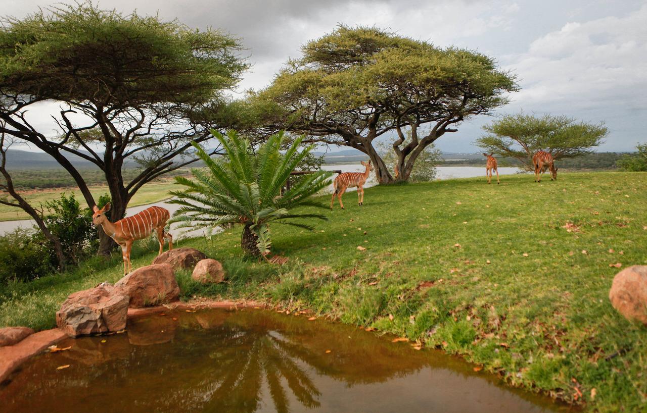 Nkwazi Lake Lodge Pongola Bagian luar foto